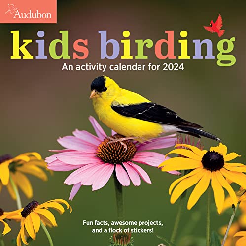 9781523519095: Audubon Kids Birding Wall Calendar 2024: An Activity Calendar for 2024