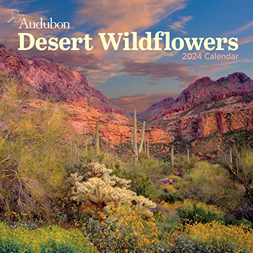 Imagen de archivo de Audubon Desert Wildflowers Wall Calendar 2024: A Visual Delight for Nature Lovers a la venta por Books Unplugged