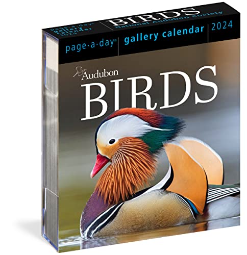Beispielbild fr Audubon Birds Page-A-Day Gallery Calendar 2024: Hundreds of Birds, Expertly Captured by Top Nature Photographers zum Verkauf von GF Books, Inc.