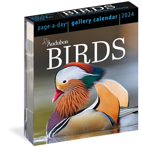Imagen de archivo de Audubon Birds Page-A-Day Gallery Calendar 2024: Hundreds of Birds, Expertly Captured by Top Nature Photographers a la venta por Books Unplugged