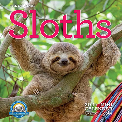 Stock image for Original Sloths Mini Wall Calendar 2024: Celebrate Life in the Slow Lane for sale by GF Books, Inc.