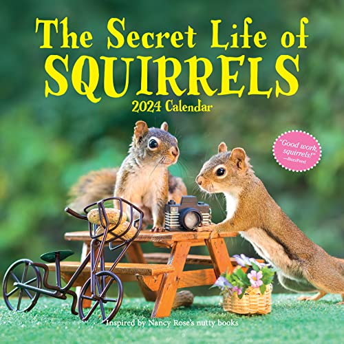 9781523519552: Secret Life of Squirrels Wall Calendar 2024: A Year of Wild Squirrels
