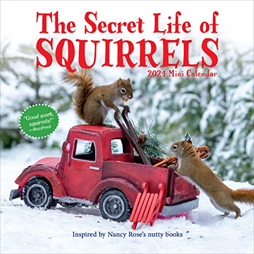 Imagen de archivo de The Secret Life of Squirrels Mini Calendar 2024: Delightfully Nutty Squirrels a la venta por GF Books, Inc.