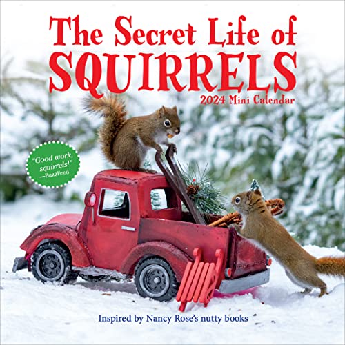 The Secret Life of Squirrels Mini...
