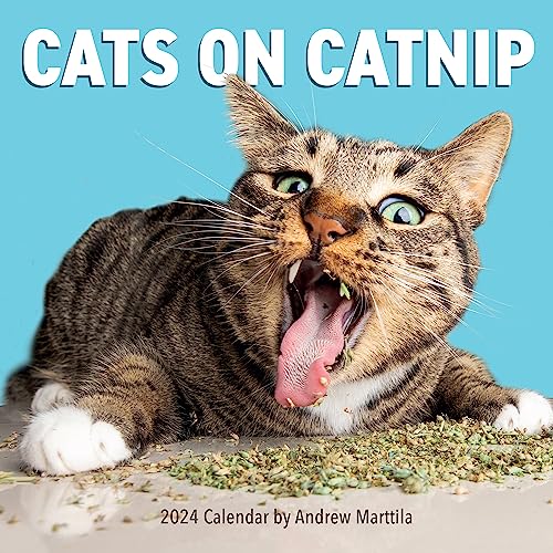 Stock image for Cats on Catnip Wall Calendar 2024: A Year of Cats Living the High Life and Feeling Niiiiice for sale by GF Books, Inc.