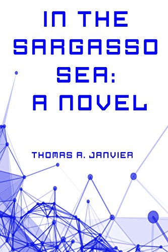 Stock image for In the Sargasso Sea: A Novel for sale by WorldofBooks