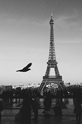 9781523685684: A Free Bird in Paris Journal [Idioma Ingls]