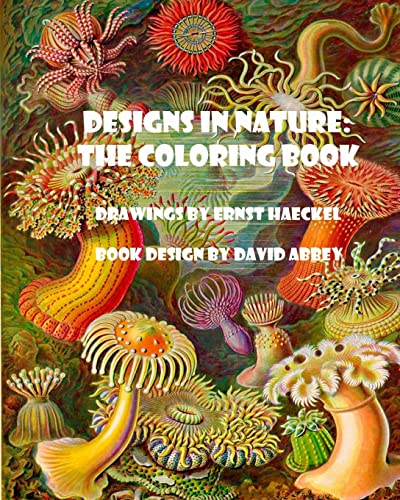 Imagen de archivo de Designs in Nature: the coloring book a la venta por Red's Corner LLC