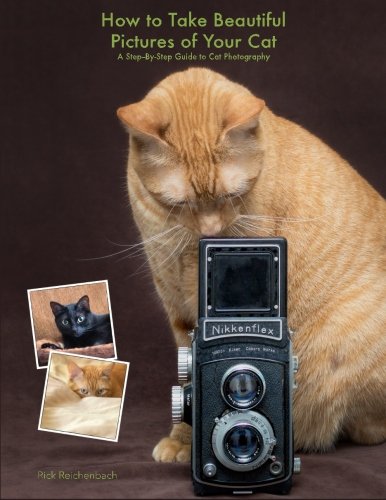 Imagen de archivo de How to Take Beautiful Pictures of Your Cat: A Step-By-Step Guide to Cat Photography a la venta por Bookmans