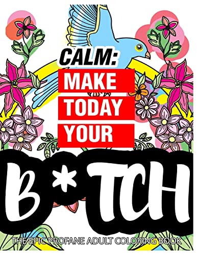 Stock image for Calm: Make Today Your Bitch the Epic Profane Adult Coloring Book: Swear Word finds Sweary Fun Way - Swearword for Stress Relief for sale by SecondSale