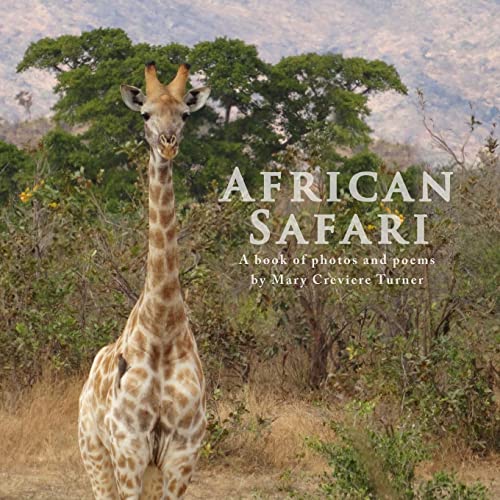 Beispielbild fr African Safari zum Verkauf von SecondSale