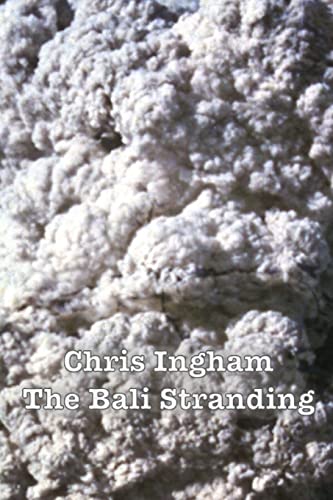 Stock image for The Bali Stranding for sale by THE SAINT BOOKSTORE