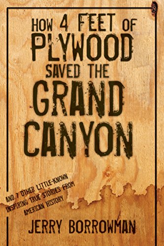 Stock image for How 4 Feet of Plywood Saved the Grand Canyon for sale by Jenson Books Inc