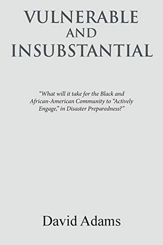 9781524583569: Vulnerable and Insubstantial: What Will It Take?