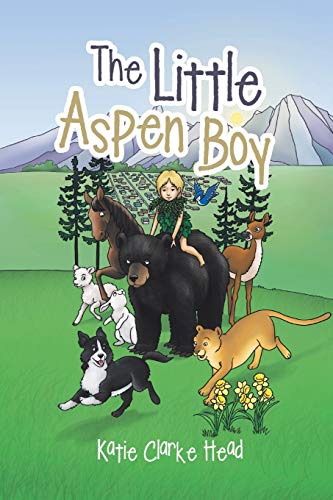 Stock image for The Little Aspen Boy for sale by Lucky's Textbooks