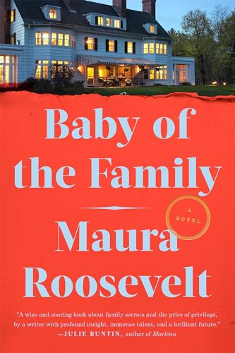 Beispielbild fr Baby of the Family : A Novel zum Verkauf von Better World Books
