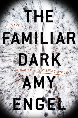 Beispielbild fr The Familiar Dark : A Novel zum Verkauf von Better World Books