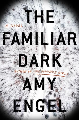 Stock image for The Familiar Dark: A Novel for sale by BookHolders