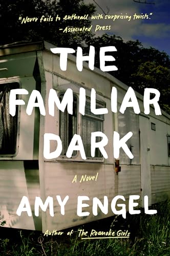 Stock image for The Familiar Dark: A Novel for sale by SecondSale