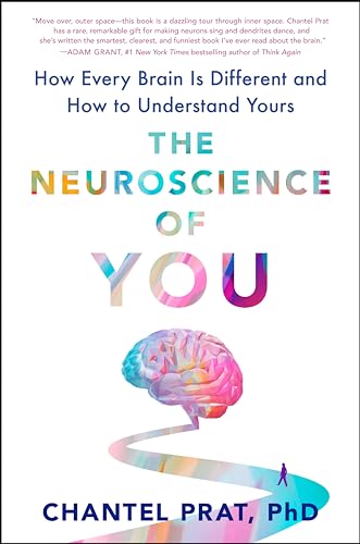 Stock image for The Neuroscience of You for sale by Blackwell's