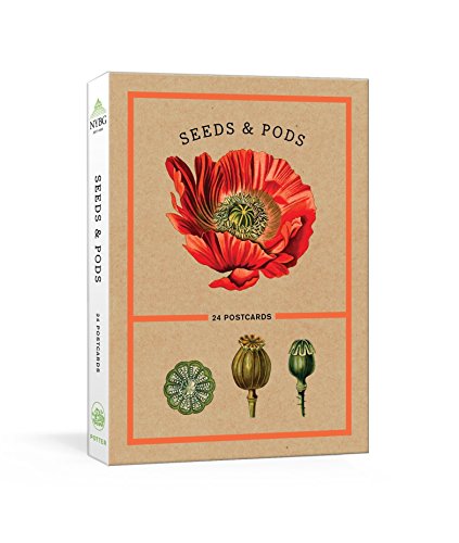 9781524759056: Seeds and Pods: 24 Postcards (New York Botanical Garden)
