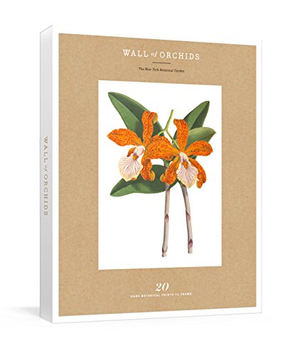 Stock image for Wall of Orchids: 20 Rare Botanical Prints to Frame (New York Botanical Garden) for sale by HPB-Movies