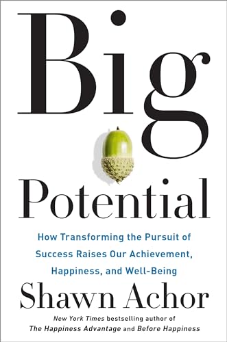 Beispielbild fr Big Potential: How Transforming the Pursuit of Success Raises Our Achievement, Happiness, and Well-Being zum Verkauf von SecondSale