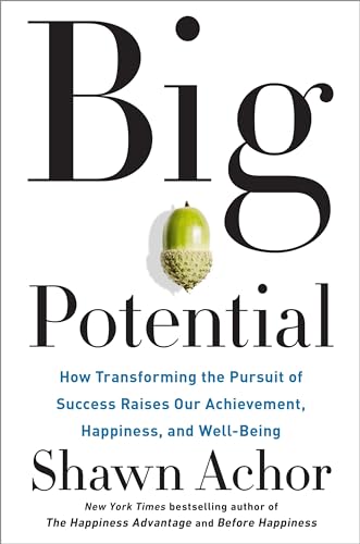 Stock image for Big Potential: How Transforming the Pursuit of Success Raises Our Achievement, Happiness, and Well-Being for sale by SecondSale