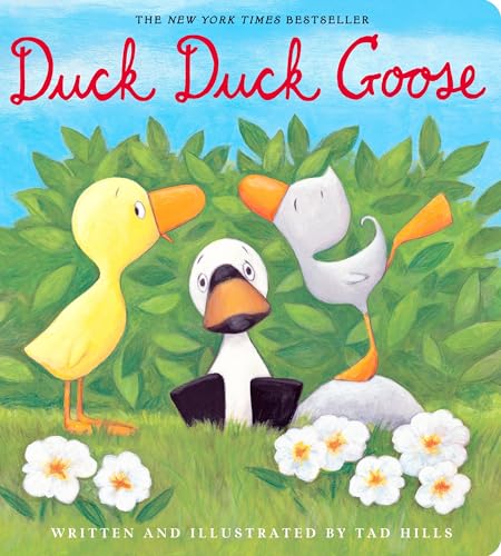 Beispielbild fr Duck, Duck, Goose zum Verkauf von Wonder Book
