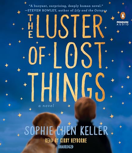 Beispielbild fr The Luster of Lost Things zum Verkauf von HPB Inc.