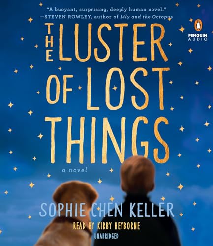 Stock image for The Luster of Lost Things for sale by HPB Inc.