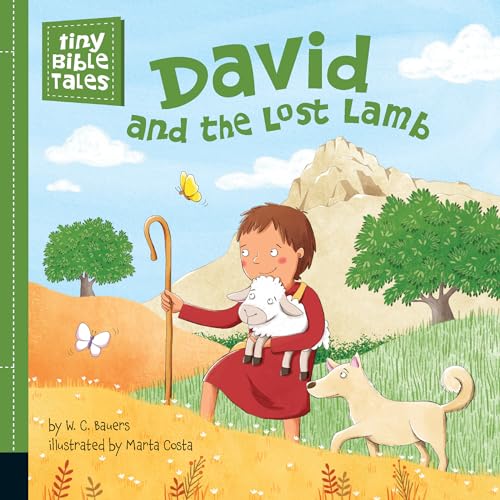 Stock image for David and the Lost Lamb for sale by Better World Books
