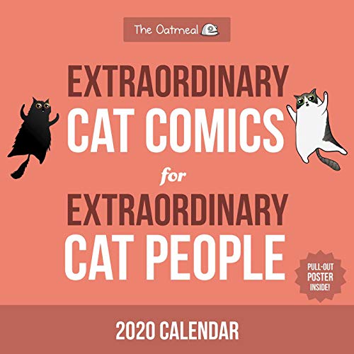 Stock image for Extraordinary Cat Comics for Extraordinary Cat People 2020 Wall Calendar for sale by Books Unplugged