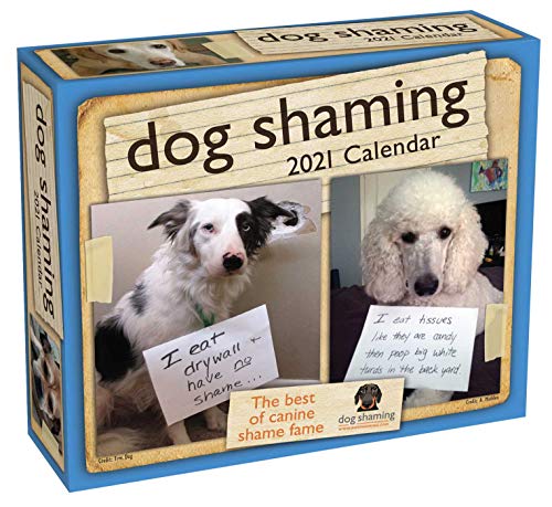 Stock image for Dog Shaming 2021 Day-to-Day Calendar for sale by GF Books, Inc.