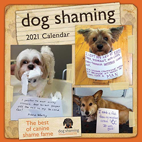9781524857158: Dog Shaming 2021 Wall Calendar