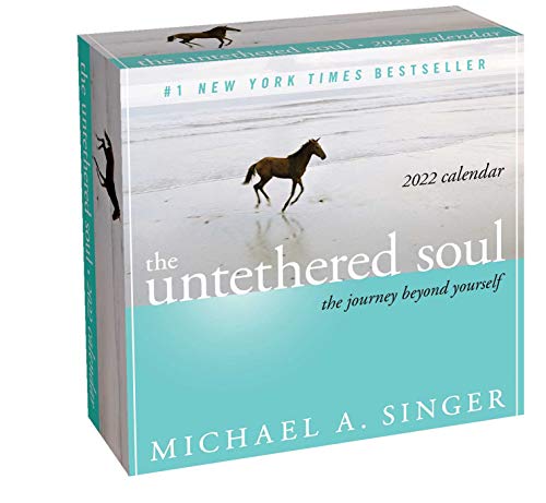 Stock image for The Untethered Soul 2022 Day-to-Day Calendar: The Journey Beyond Yourself for sale by Ergodebooks