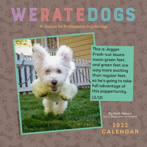 Stock image for WeRateDogs 2022 Mini Wall Calendar for sale by Books Unplugged