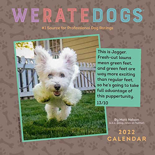 We rate dogs desk deals calendar