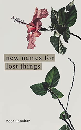 Imagen de archivo de New Names for Lost Things a la venta por SecondSale