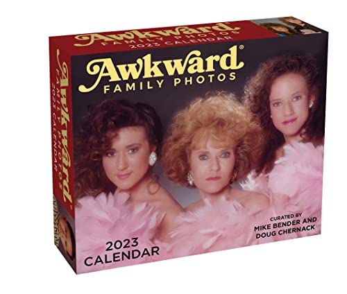 9781524873585: Awkward Family Photos 2023 Day-to-Day Calendar