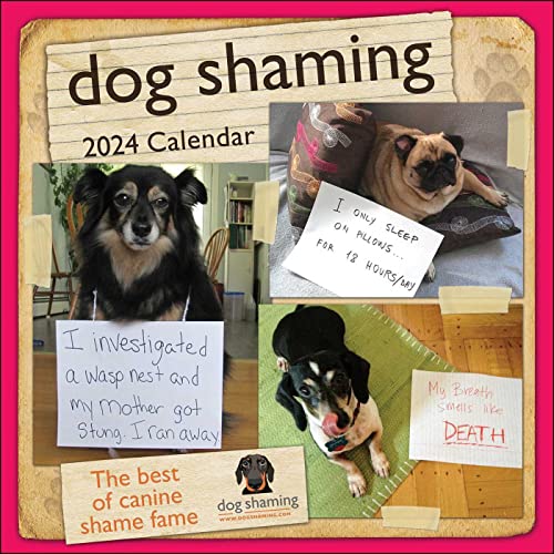 Dog Shaming 2024 Calendar