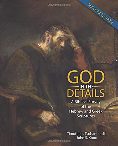 Beispielbild fr God in the Details: A Biblical Survey of the Hebrew and Greek Scriptures zum Verkauf von The Book Bin