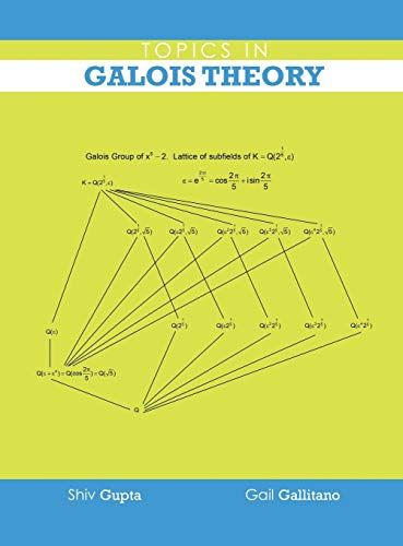 Imagen de archivo de Topics in Galois Theory a la venta por Lucky's Textbooks