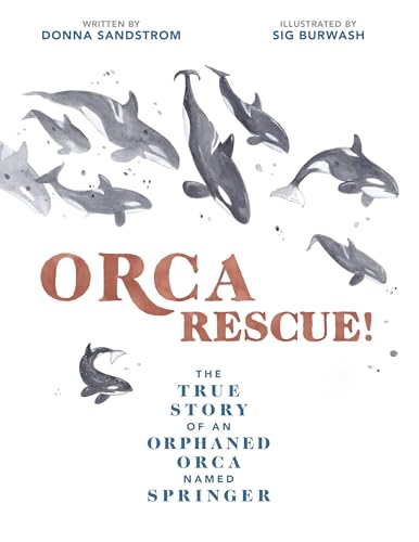 9781525301179: Orca Rescue!: The True Story of an Orphaned Orca Named Springer