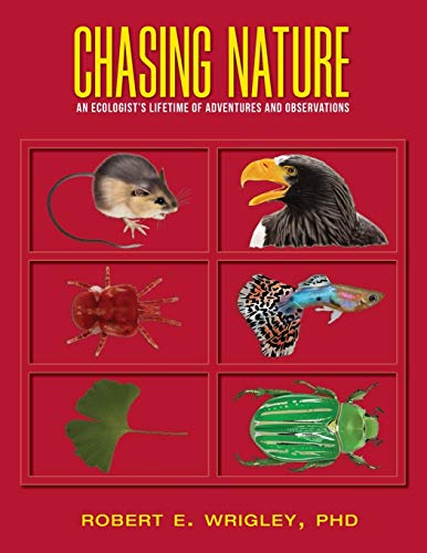 Beispielbild fr Chasing Nature : An Ecologist's Lifetime of Adventures and Observations zum Verkauf von Buchpark