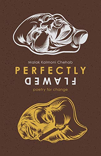 Stock image for Perfectly Flawed: poetry for change for sale by Big River Books