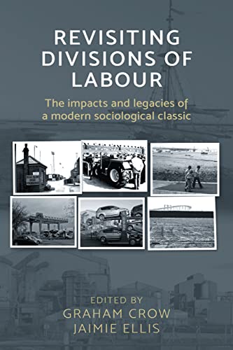 Beispielbild fr Revisiting Divisions of Labour: The Impacts and Legacies of a Modern Sociological Classic zum Verkauf von WorldofBooks