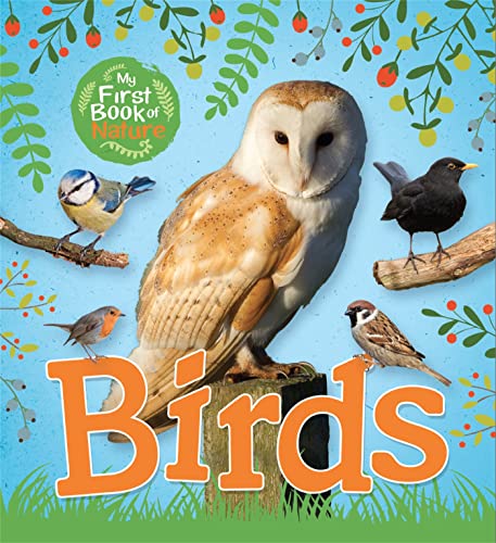 Imagen de archivo de Birds a la venta por WorldofBooks