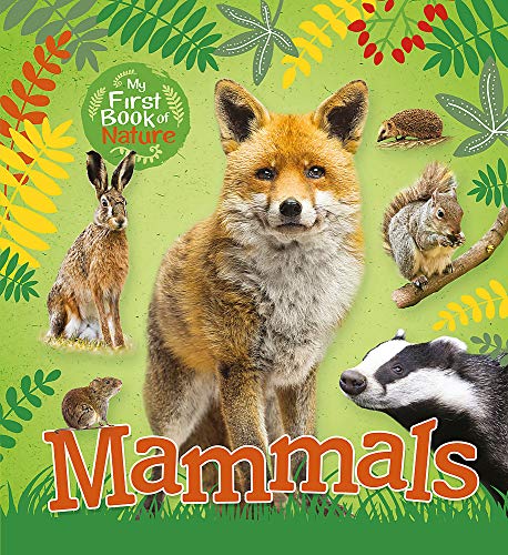 Imagen de archivo de Mammals (My First Book of Nature) a la venta por WorldofBooks
