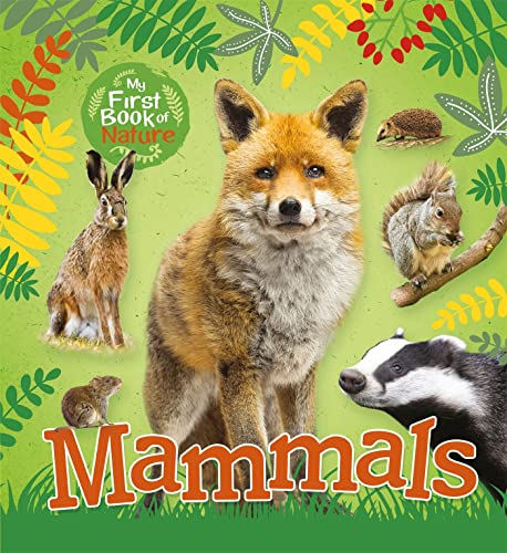 Imagen de archivo de Mammals a la venta por WorldofBooks